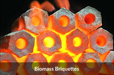 biomass-briquettes