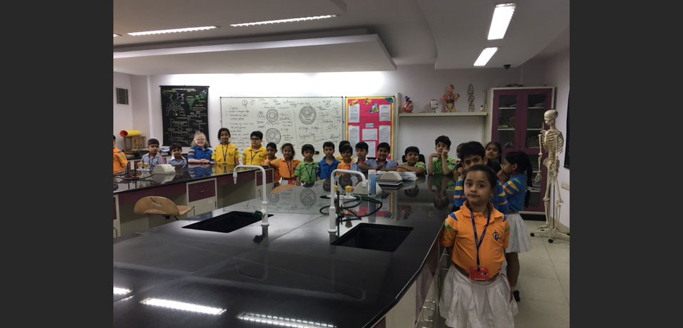 the images show the well equipped chemistry lab,school with well equipped science labs
